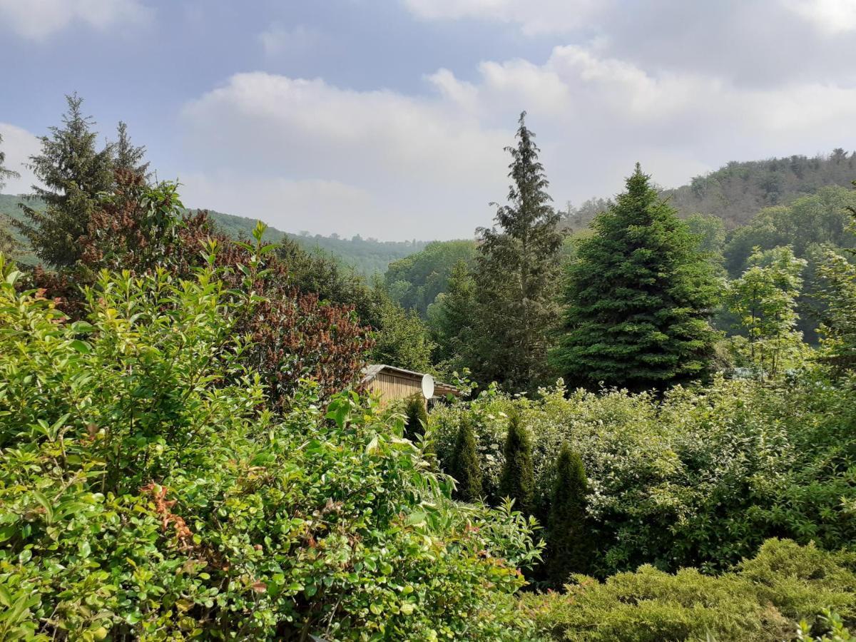 Talblick 2 - Ihr Zuhause : Das Ferienhaus Mitten Im Idyllischen Tal Bad Bibra Bagian luar foto